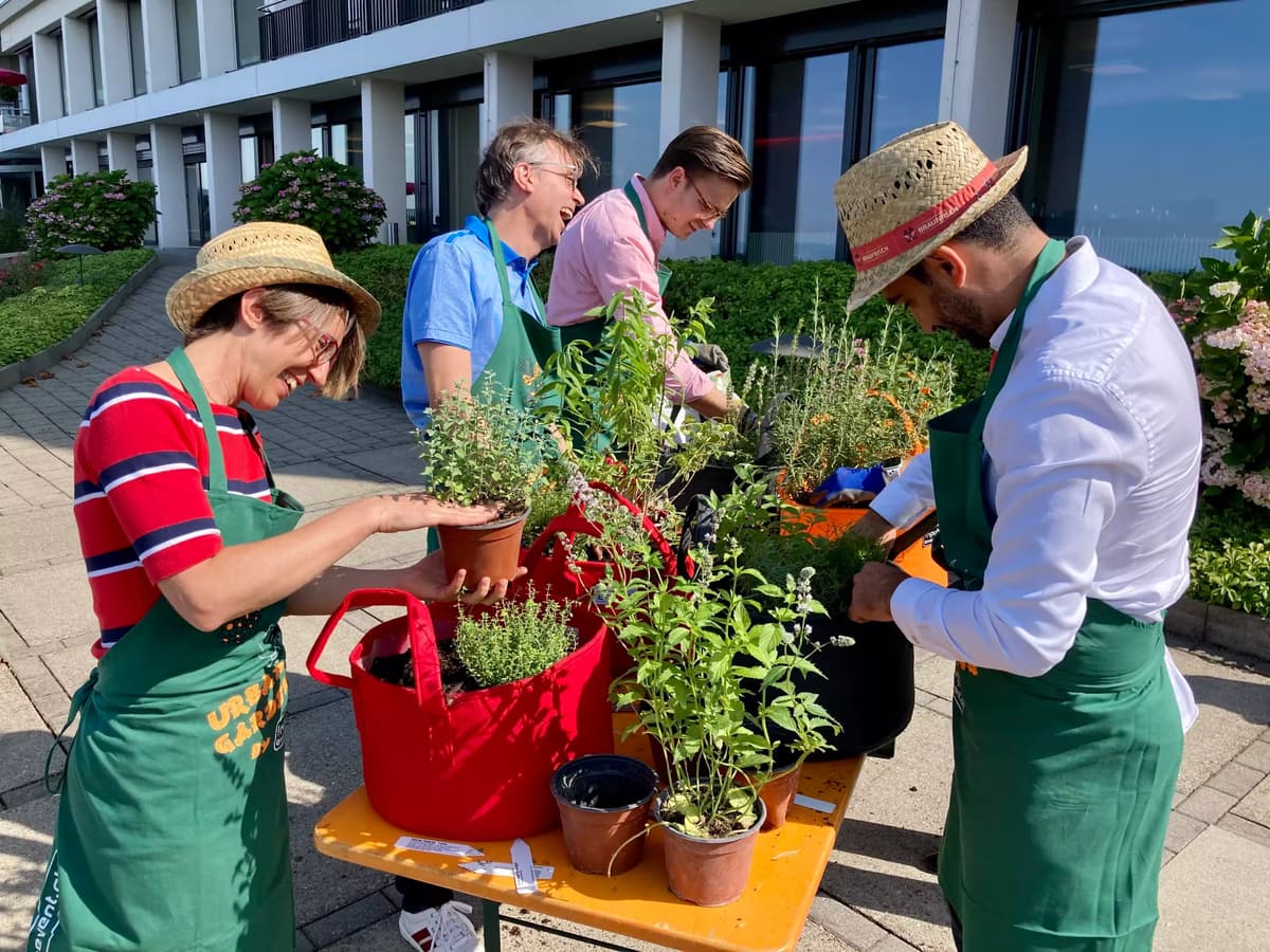 Evoid GmbH (Elevents.ch) 15
