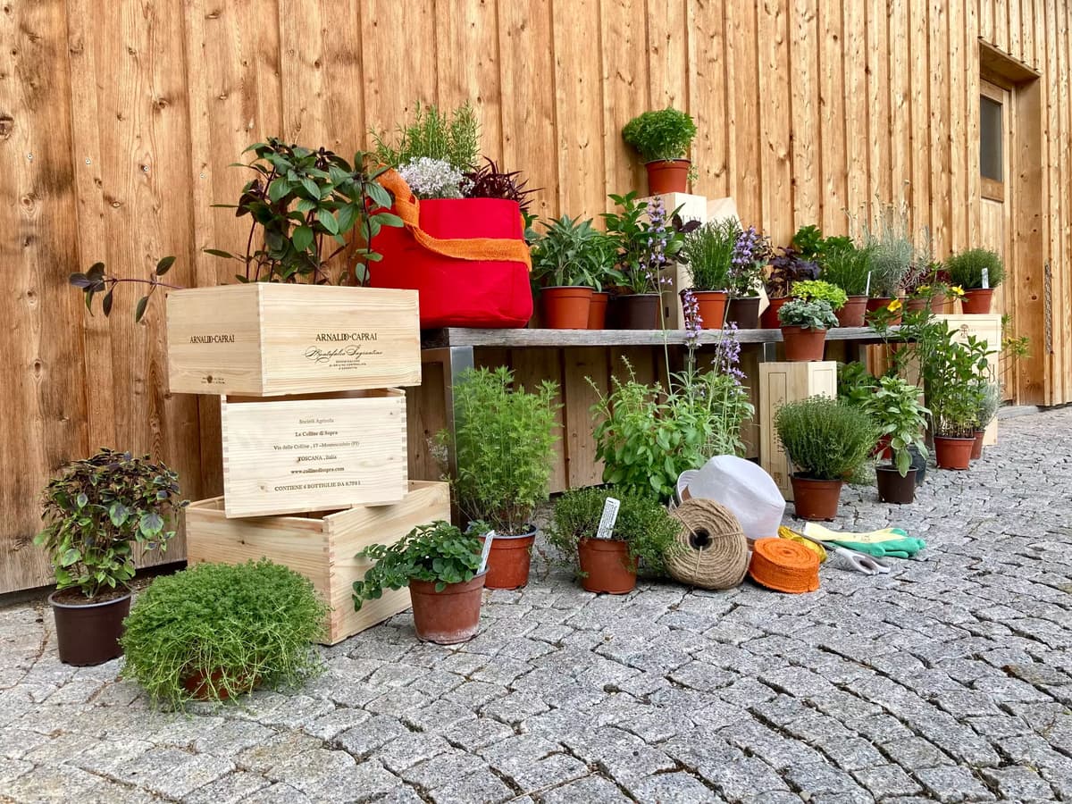 Evoid GmbH (Elevents.ch) 27