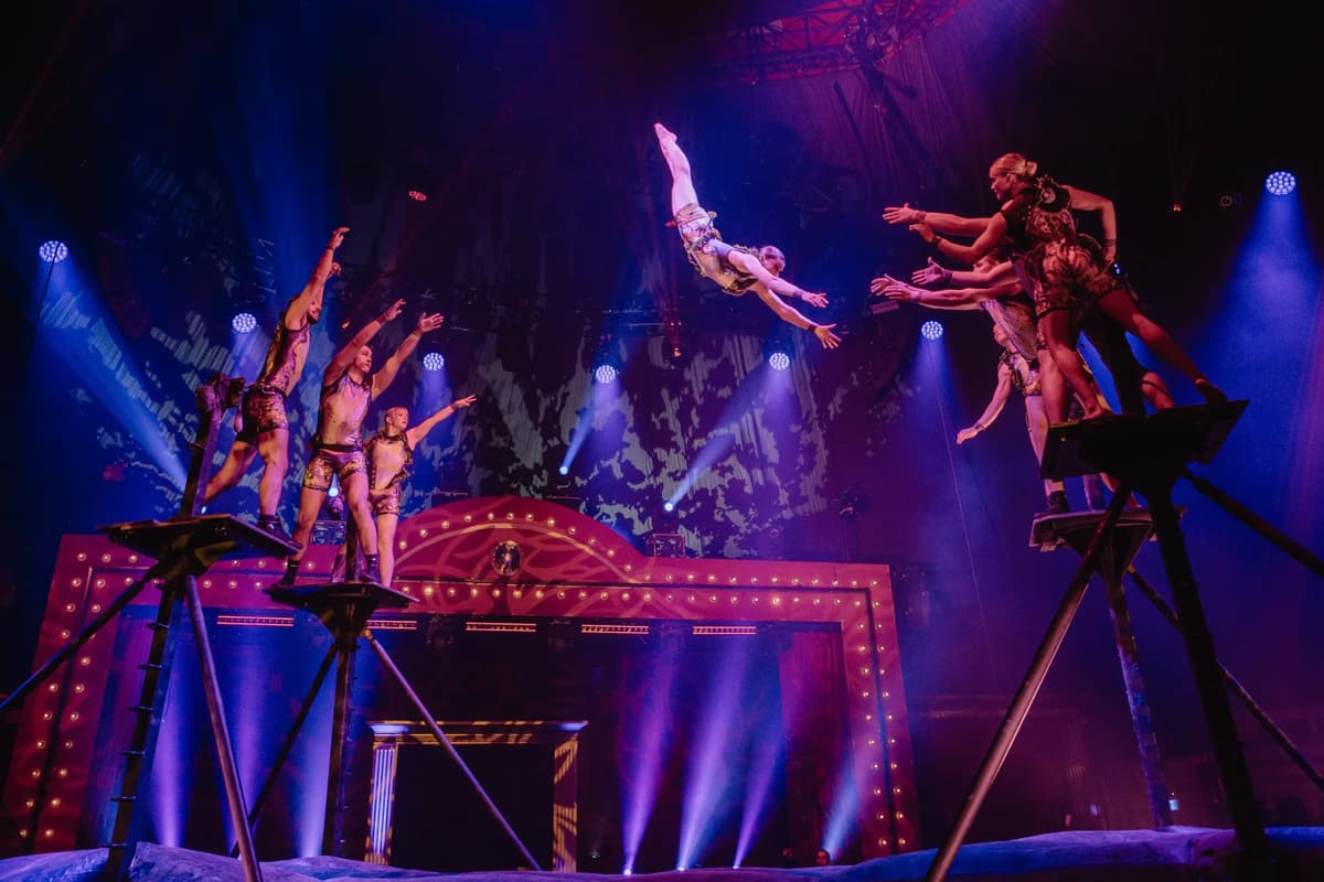 Salto Entertainment AG 7