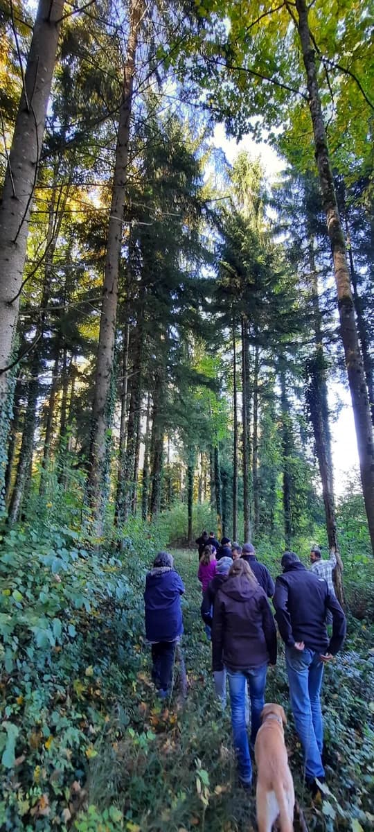 Cours de nature et de forêt