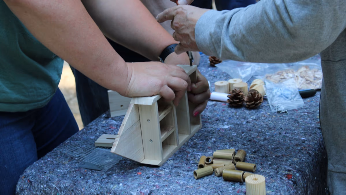 xpert teambuilding 7